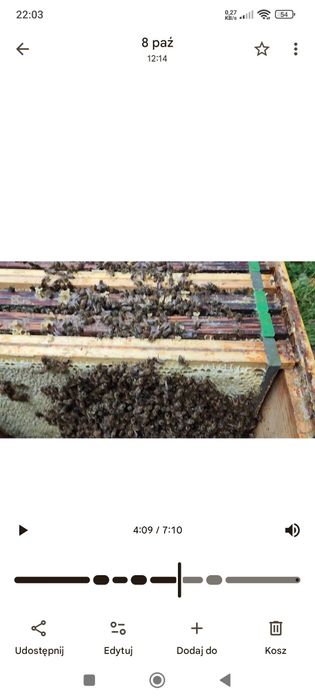 Sublimacja kwasu szczawiowego leczenie pszczół przeciw warrozie