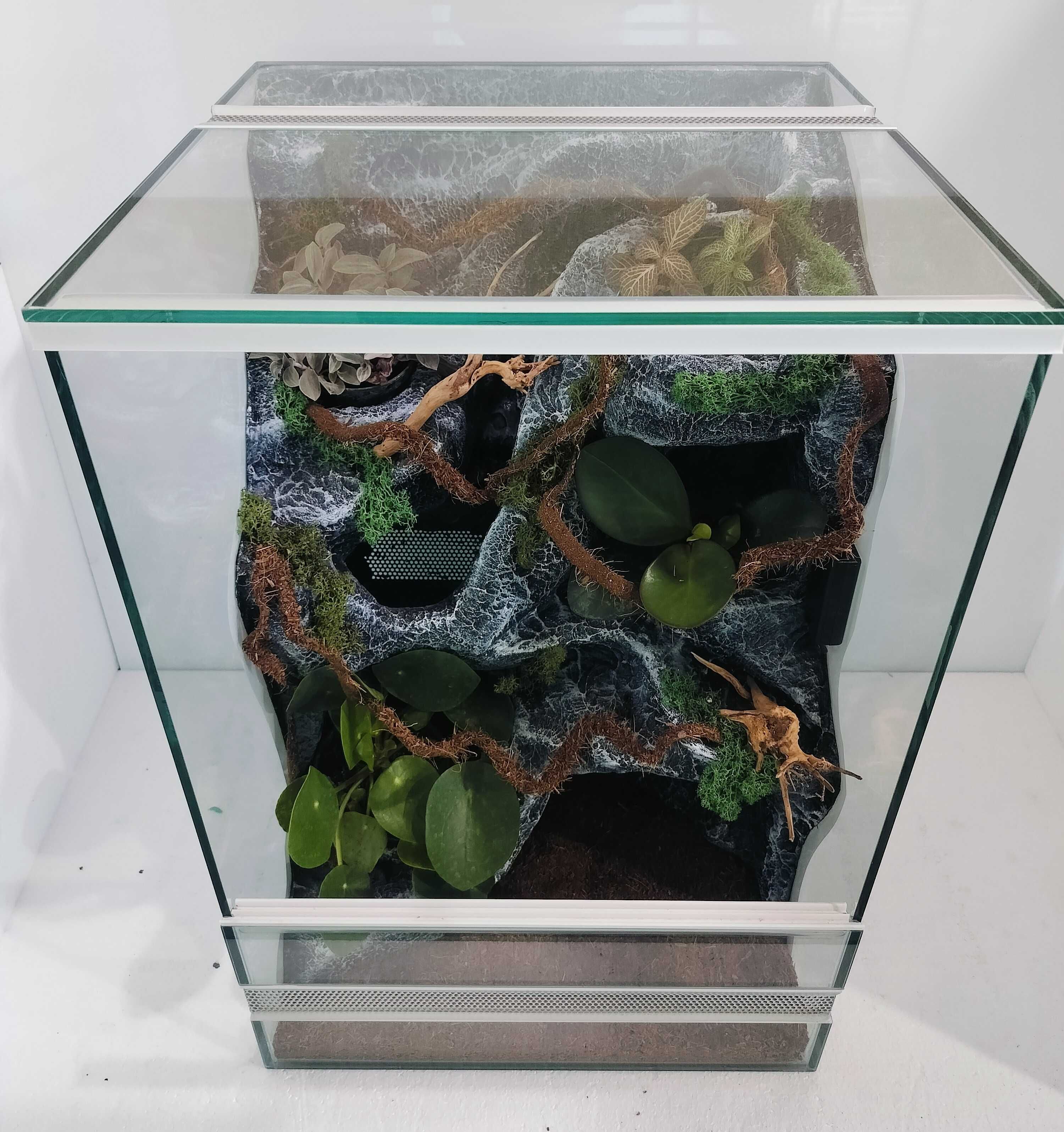 Terrarium dla gekona orzęsionego z wyposażeniem AquaWaves TW66WS