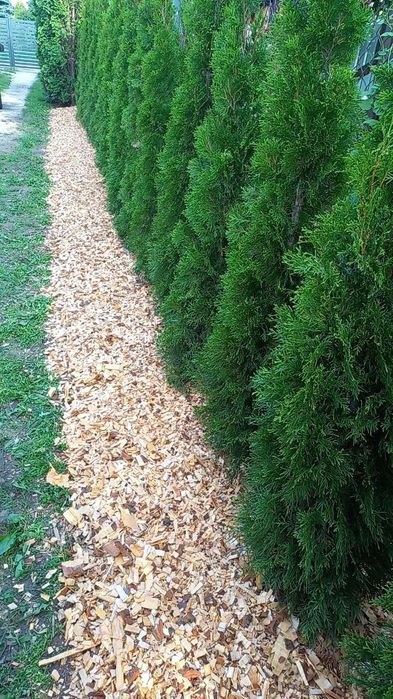 Zrębki drzewne liściaste opał rozpałka  kora sosnowa  worek 80l