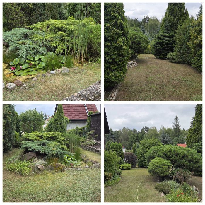 Działka ROD Szczodrochowo w bliskiej odległości od Poznania