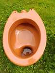 Miski WC Krasnystaw. Nowe