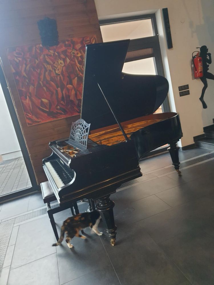 Fortepian C. Bechstein model B- kultowy model!