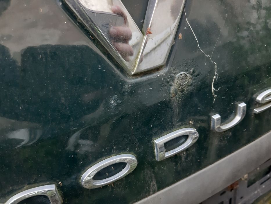 Renault modus dvd93 klapa bagażnika