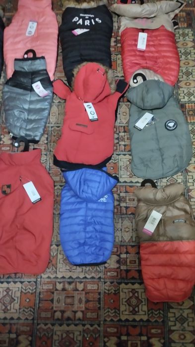 Зимові курточки для маленьких і невеликих песиків.