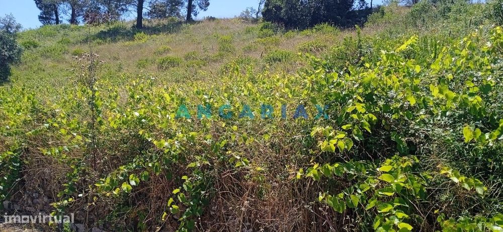 ANG1460 - Terreno para Venda em Batalha