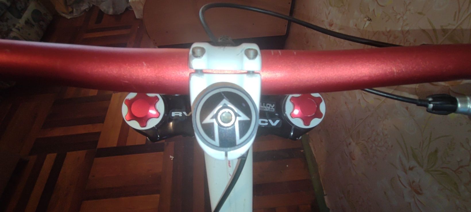 Легендарний Specialized Demo 8 2009 року