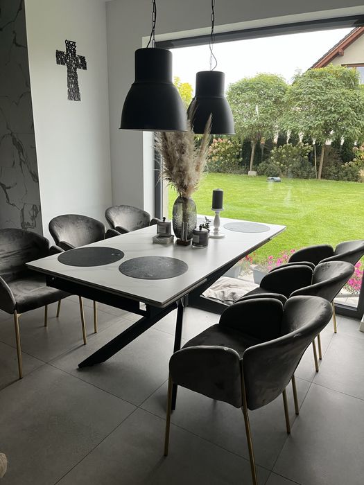 Zestaw 6 ciu krzeseł w szarym welurowym kolorze na złotych nogach