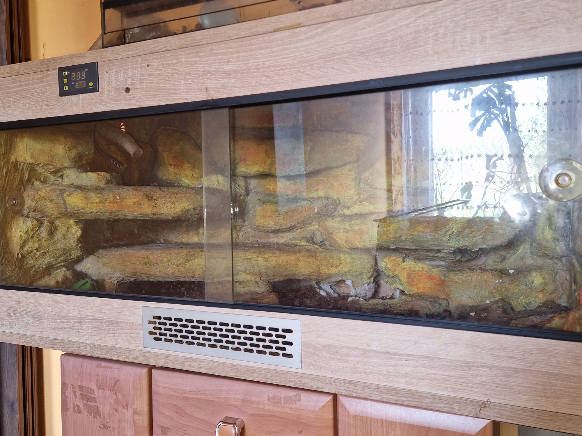 Terarium dla Agamy