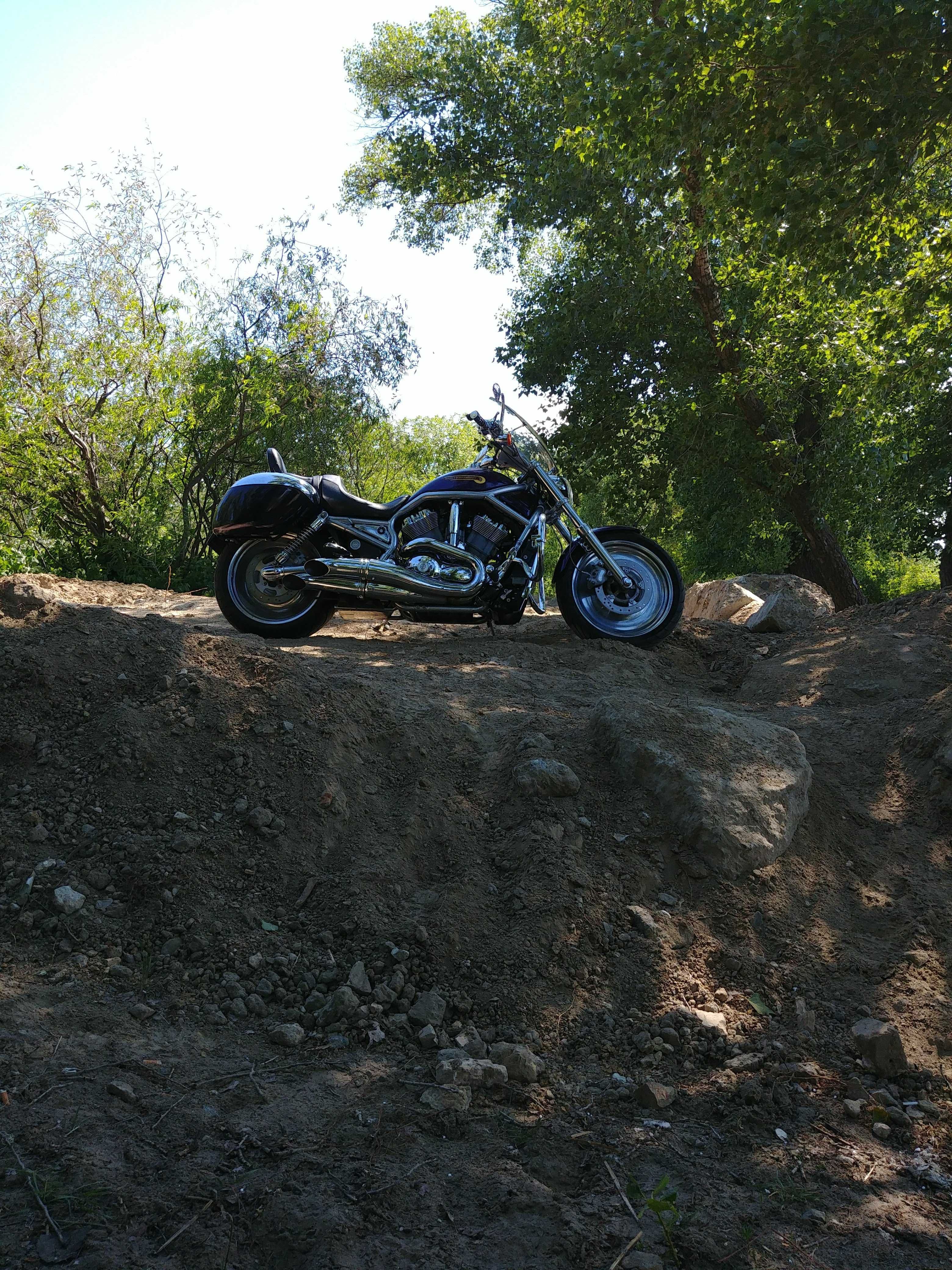 Harley-Davidson V-Rod Aniversary Edition
