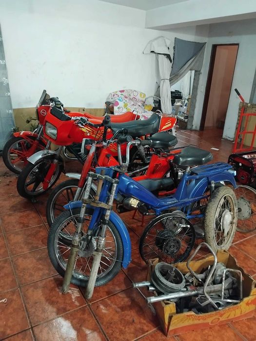 Motas sach, lotus e fuego