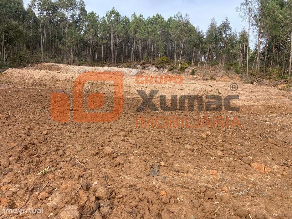 Terreno rústico zona da Serra do Bouro!