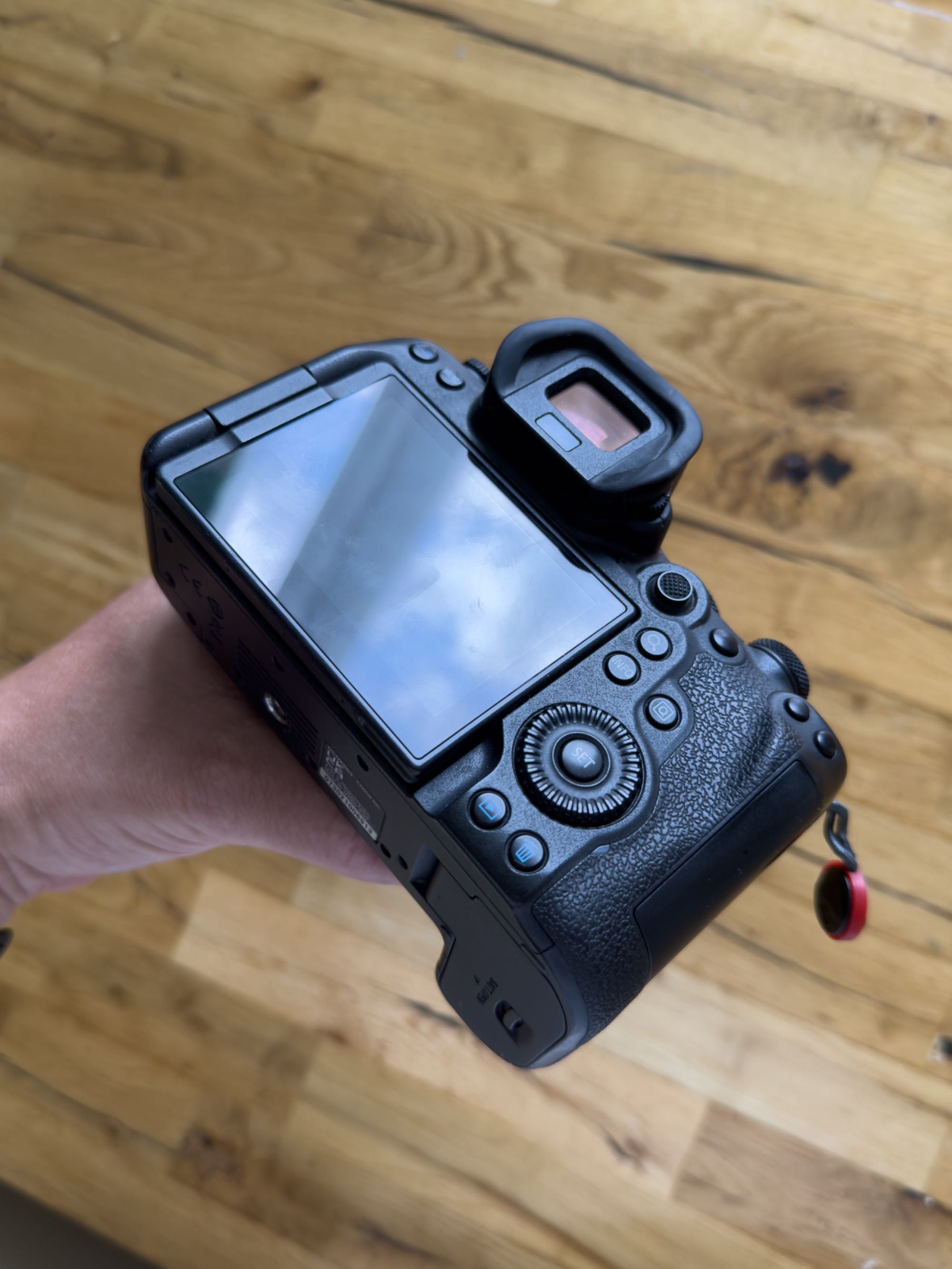 canon eos R6 mk2 + RF 35mm f/1.8 macro