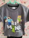 Komplet minecraft 104/110
