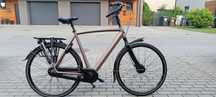Gazelle Grenoble C8