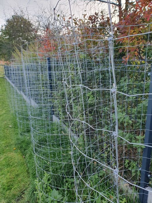 Kosze Siatka Leśna Ochronna na drzewka zabezpieczająca