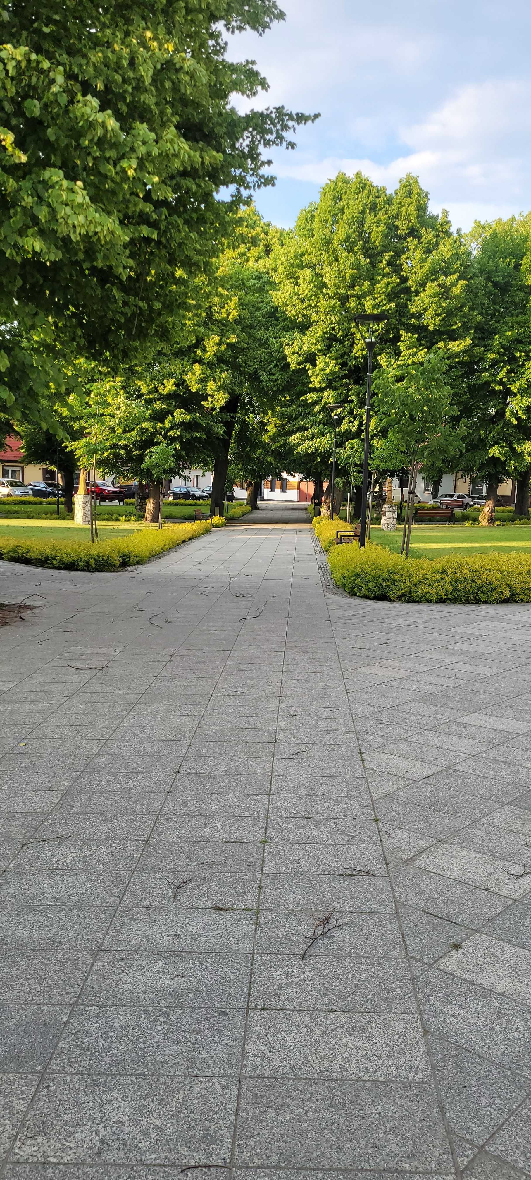 Noclegi Powidz całoroczne