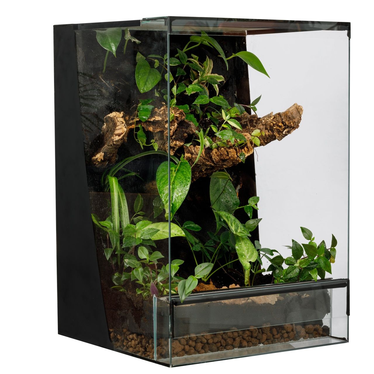 Terrarium tropikalne 40x40x60 gekon paludarium