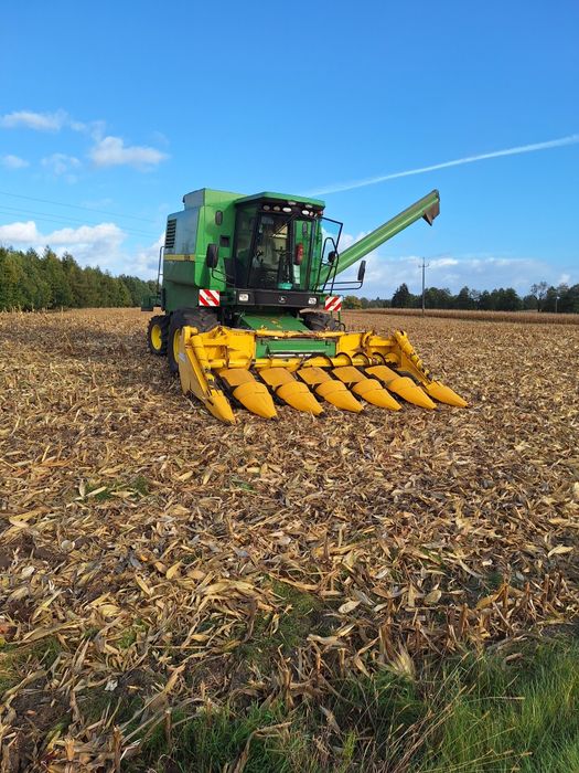 Usługi Rolnicze Uprawa siew zbiór kukurydzy transport