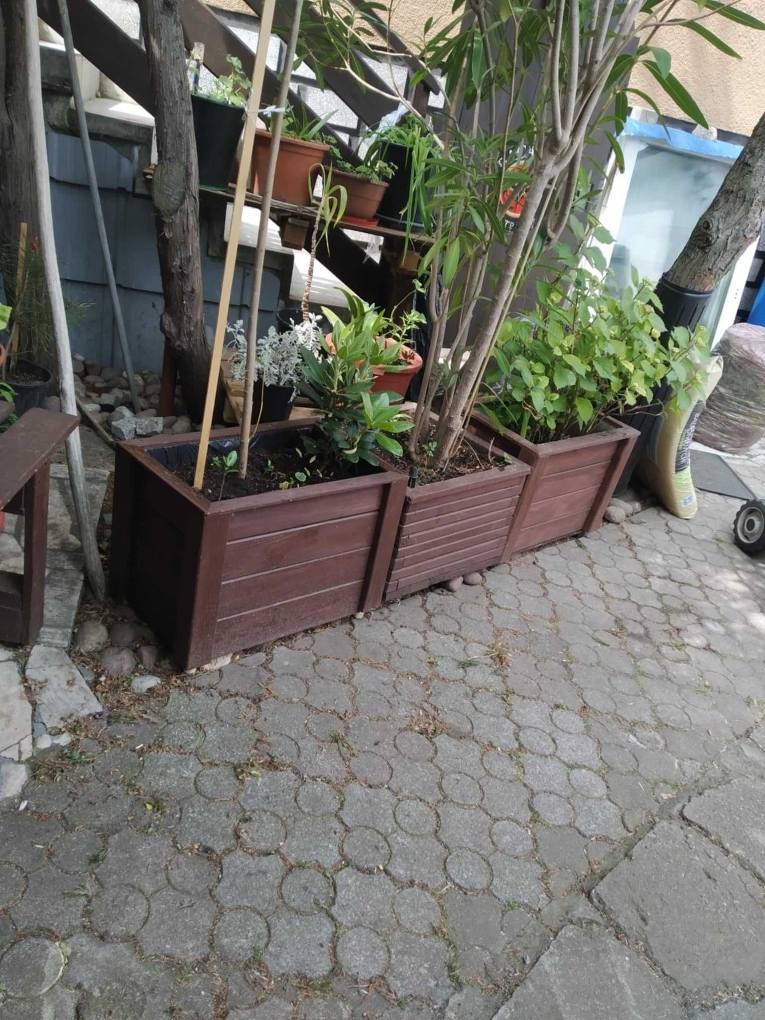 Solidne Donice Ogrodowe z Drewna Brązowe – Długie 56cm – Odbiór Rumia