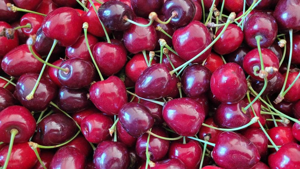 Czereśnie prosto z sadu różne odmiany czerwone, ciemne, żółte