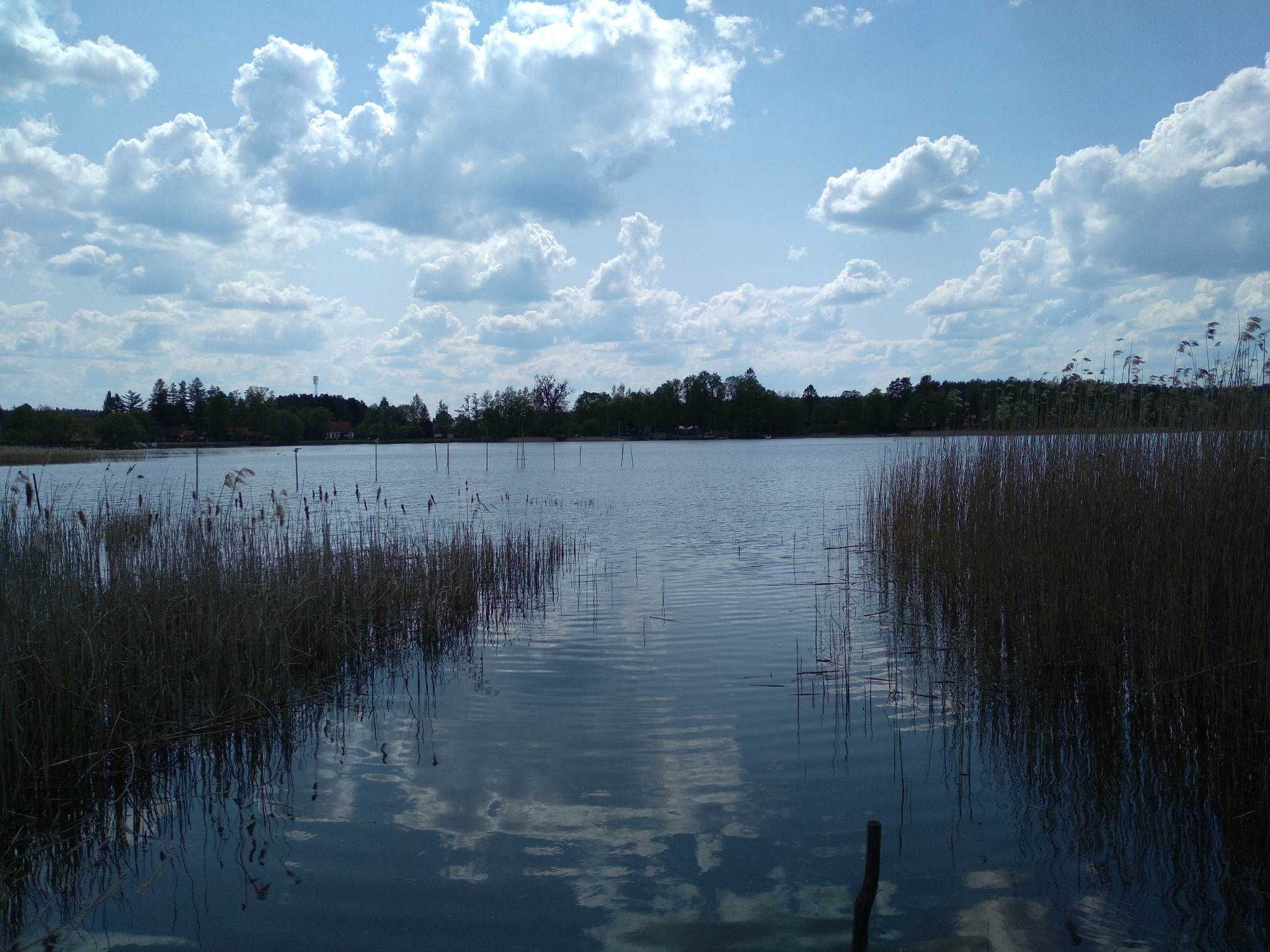 Pokoje do wynajęcia
