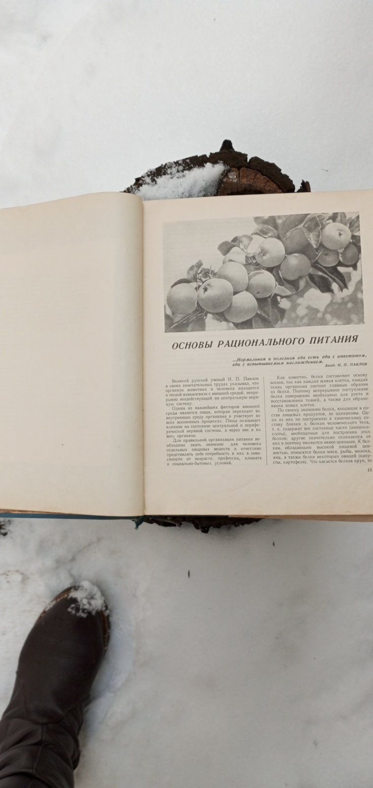 Книга о вкусной и здоровой пище 1954гРаритет+энциклопедия по нар.мед-н