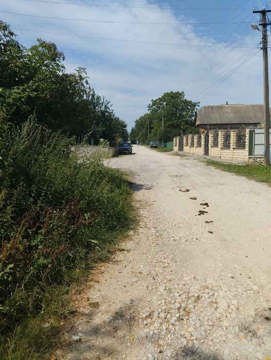 будинок у центрі с.Гніздичне Тернопільського району