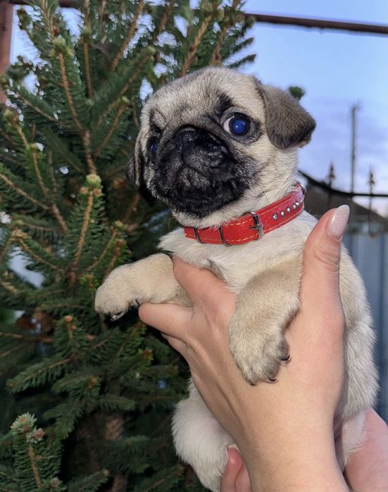 Здорова та активна дівчинка