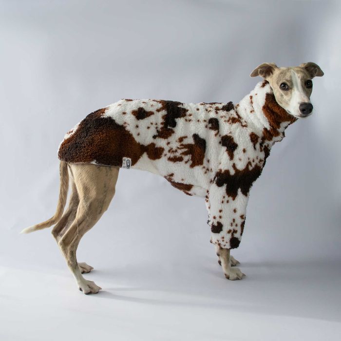 Krowka sweterek na whippeta, rezerwacja