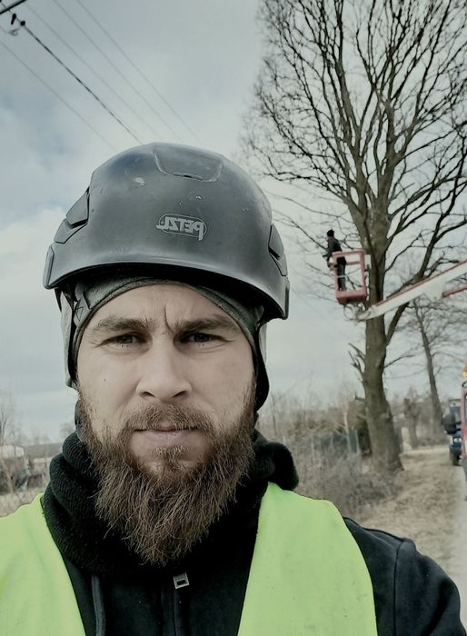 Wycinka i pielęgnacja drzew, rebakowanie, frezowanie pni, wywóz.