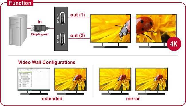 Delock  87665 Splitter DisplayPort 1.2 na dwa monitory DisplayPort DP