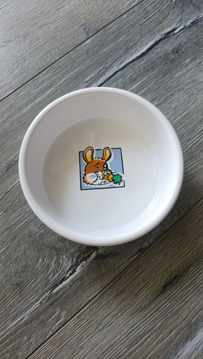 Miska ceramiczna dla królika, gryzoni