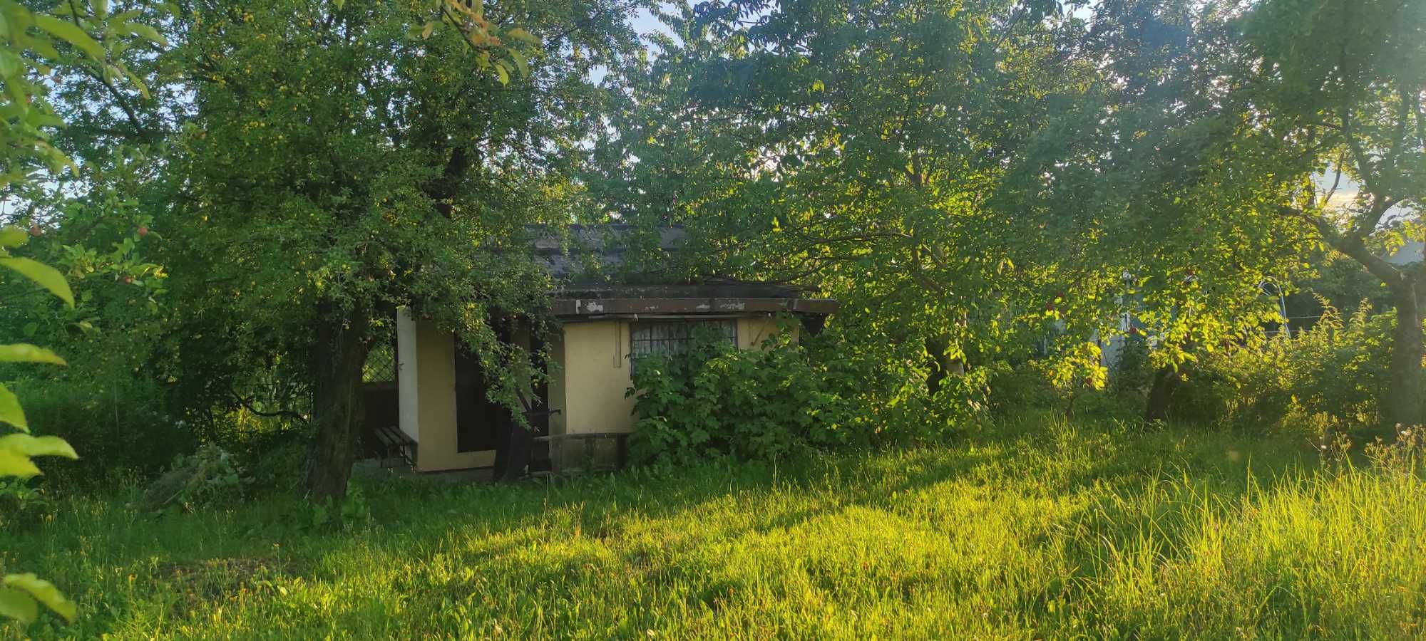 Działka ROD Malina 5,25 ar z domkiem i piwniczką.