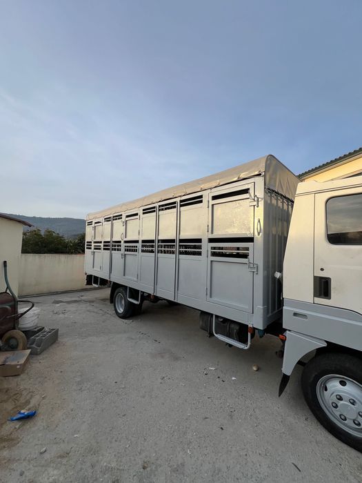 Nissan ecot transporte de animais vivos carrinha gado