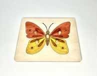 Układanka-puzzle budowa motyla Montessori