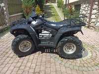 Honda Rincorn 650 4x4