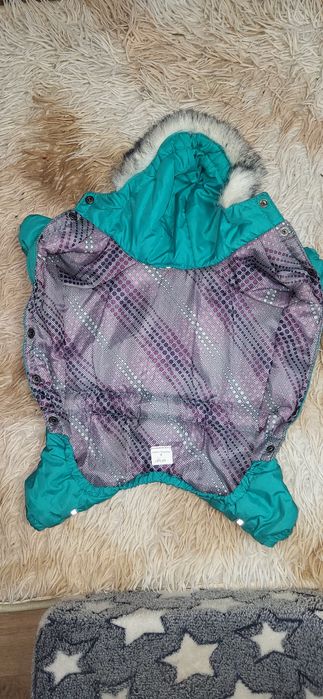 Комбінезон для чихуашки