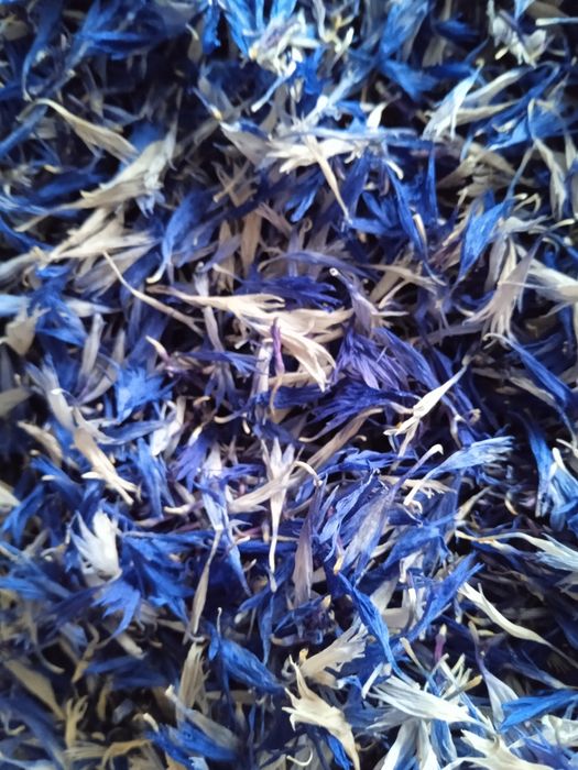 Chaber  suszony 10 g