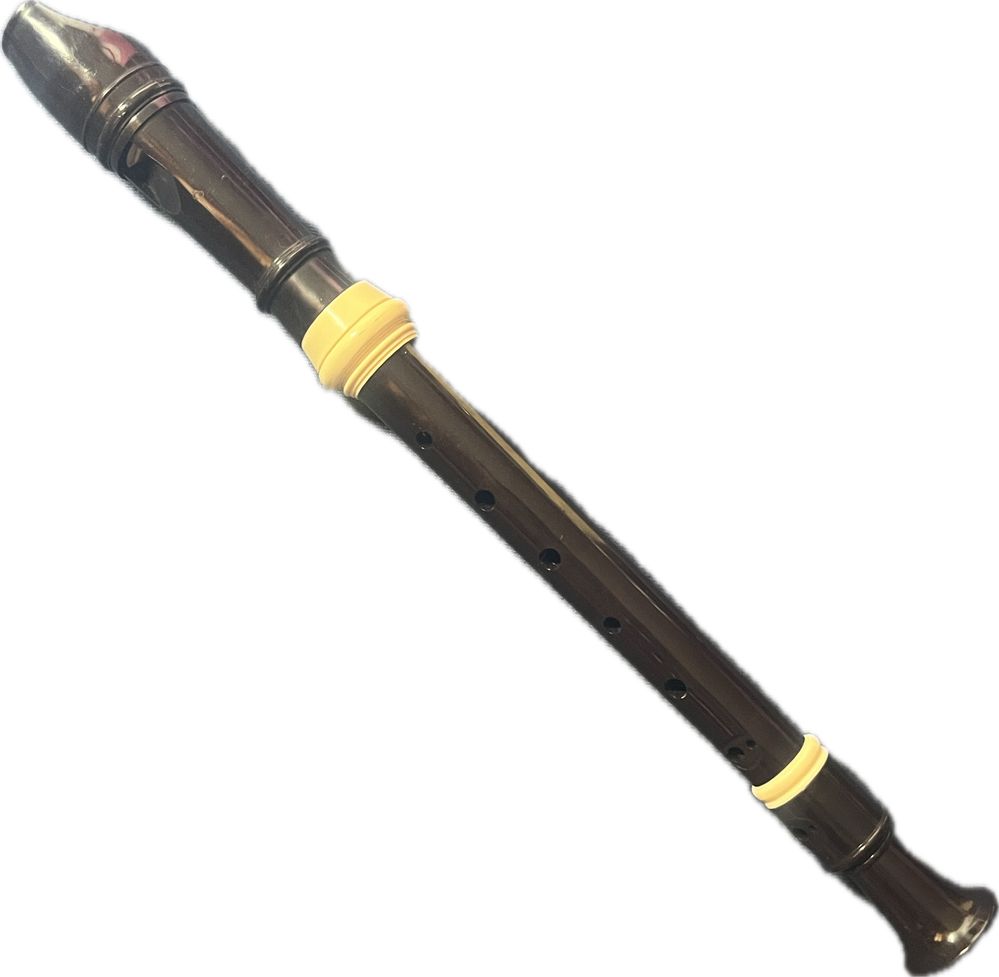 flet recorder instrument