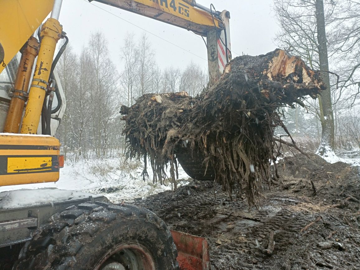 Wycinka drzew, usługi rębakiem,  wyrywanie korzeni, rozbiórki