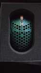 Finalmouse Prophency- Tarik, medium