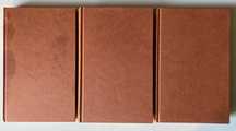 Contos e Narrativas de Tchekov (volumes 8 + 9 + 10)