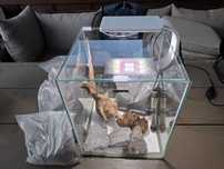 Akwarium kostka Aquael ShrimSet 30L zestaw