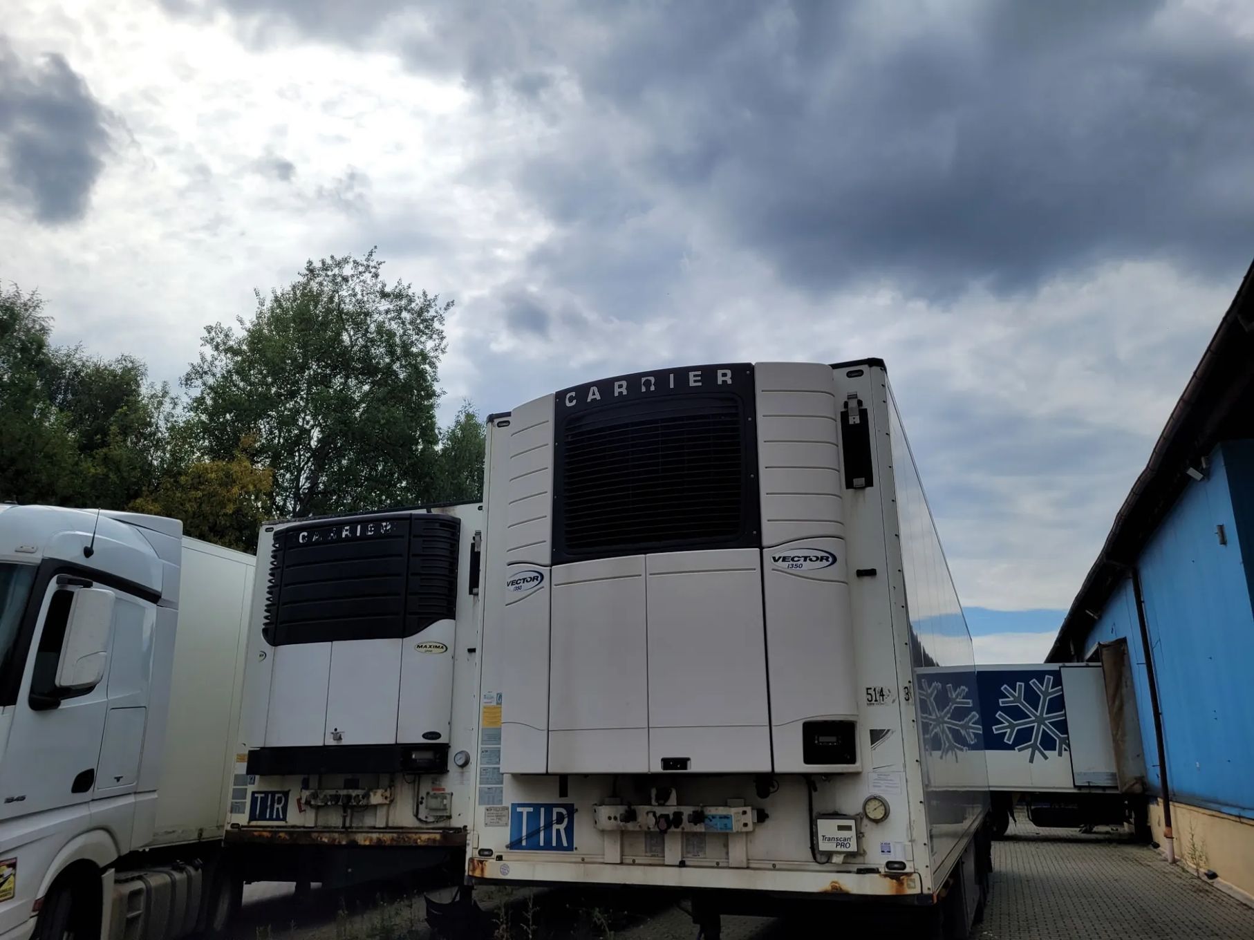 Schmitz Cargobull  Schmitz Cargobull chłodnia
