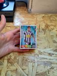Panini Adrenalyn 10-11