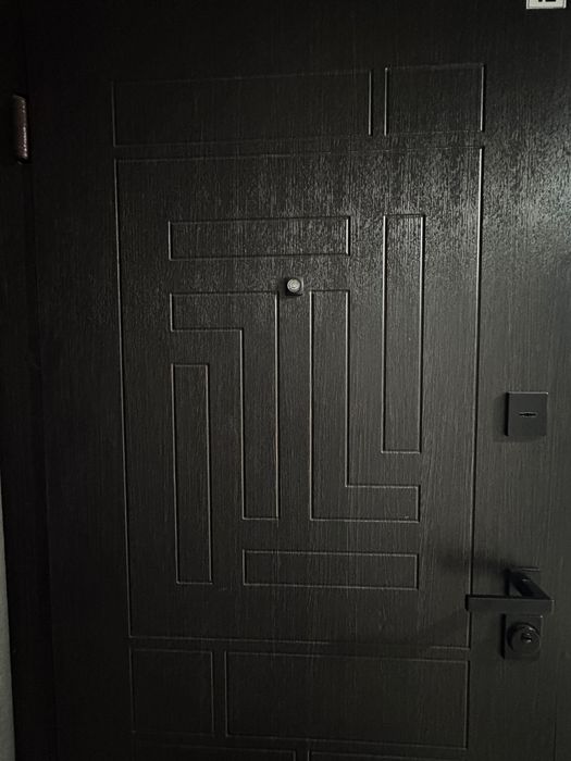 Вхідні темно-коричневі двері