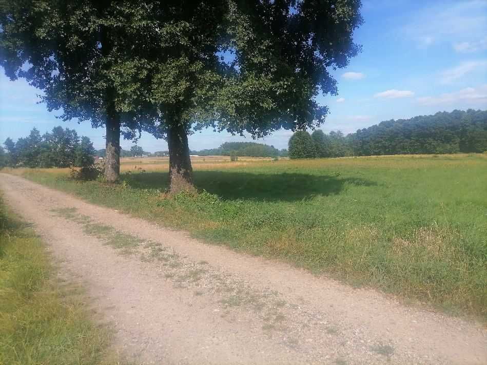 Działka 986 m2 Młodocin Większy k/ Radomia