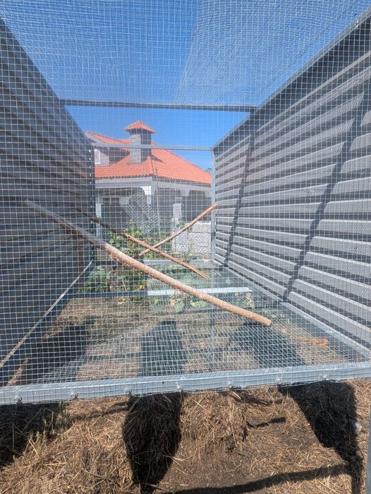 Gaiola para aves de grande porte