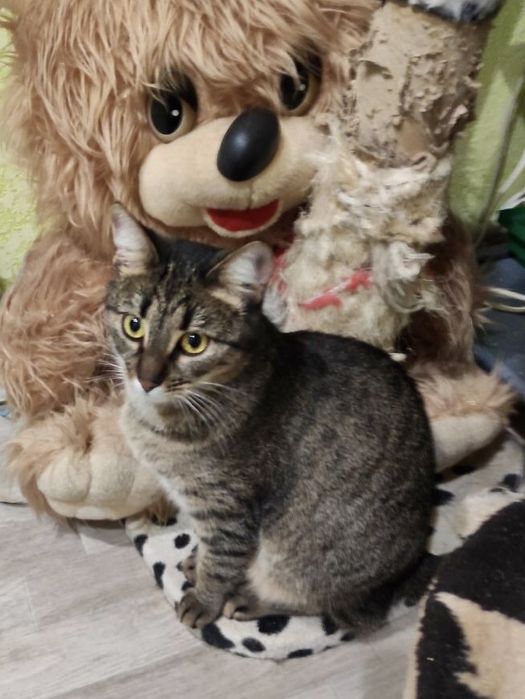 Дуже чекаю на тебе!