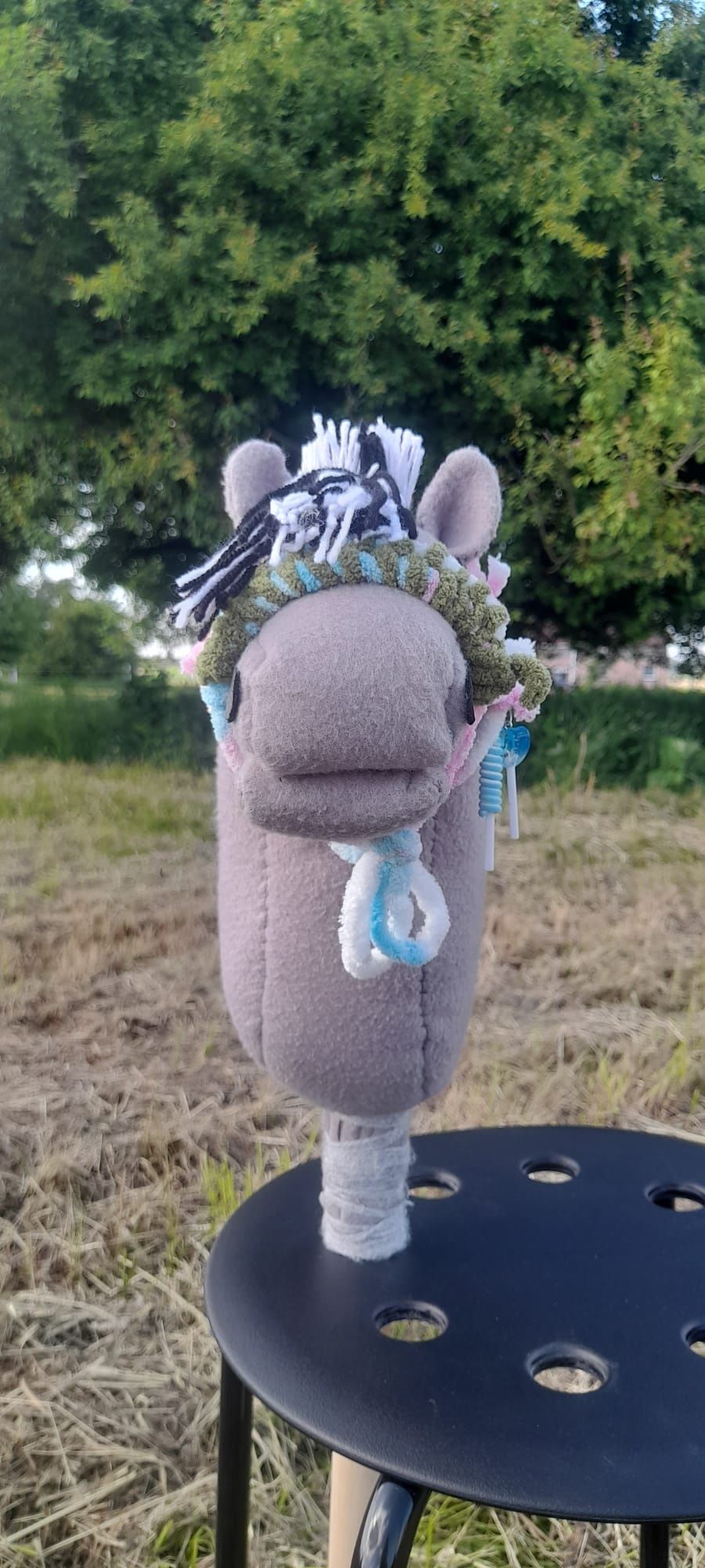 Hobby horse fiord